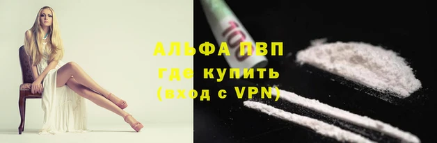 прущая мука Гусев