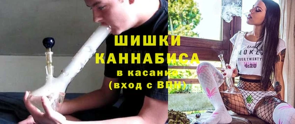 мдпв Гусь-Хрустальный