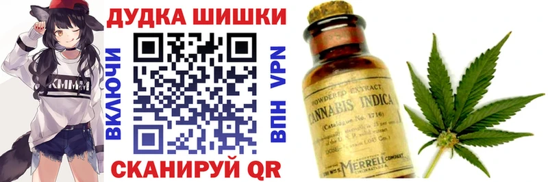 Бошки Шишки семена  Заозёрный 